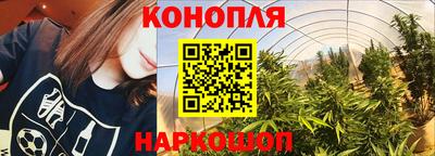 ешки Камышлов