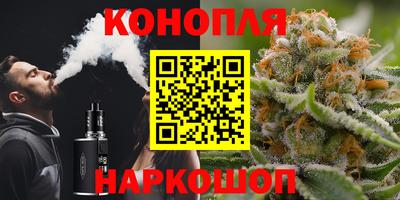 СК Кандалакша