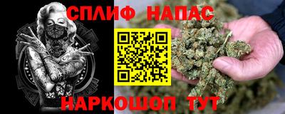 СК Кандалакша
