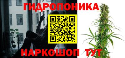 ешки Камышлов